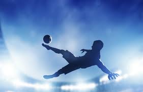 bsport体育官网 室内健身房可升降篮球架